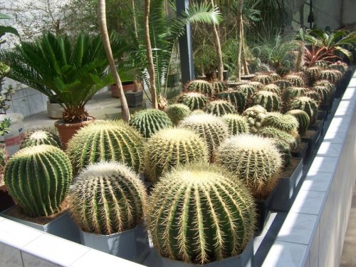 Soukromá Botanická zahrada.